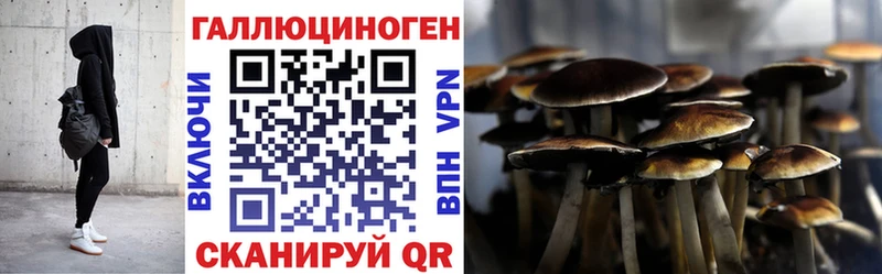 Галлюциногенные грибы Psilocybine cubensis  Туймазы 